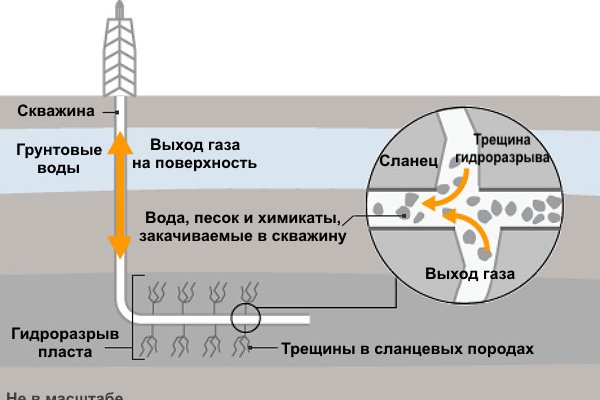 Ссылки на кракена и на мегу