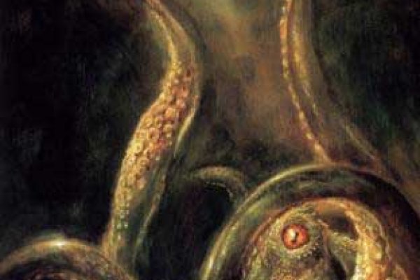 Все адреса kraken